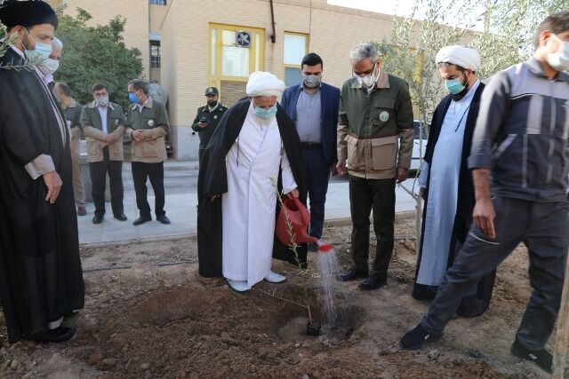 امام جمعه یزد: خود را مکلف به حفظ منابع طبیعی بدانیم