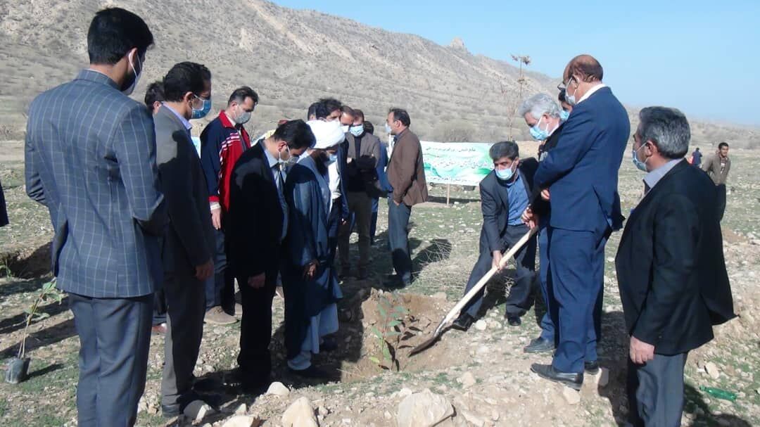 ۶ هزار اصله نهال در گیلانغرب غرس می‌شود