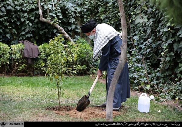 توسعه انرژی هسته‌ای باید جدی گرفته شود / تخریب محیط‌زیست تخریب منافع ملی است