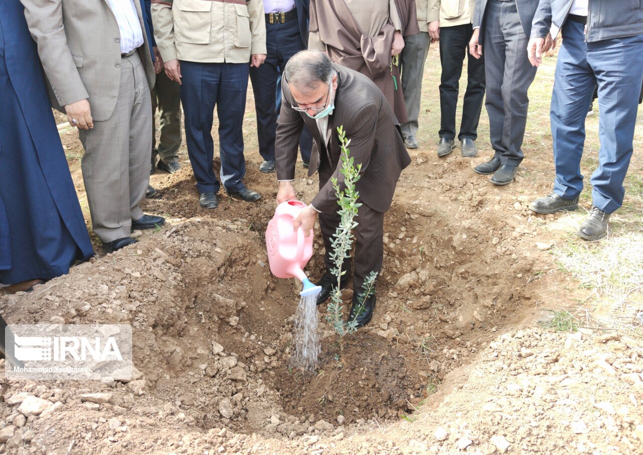 آغاز غرس یک میلیون اصله نهال در لرستان