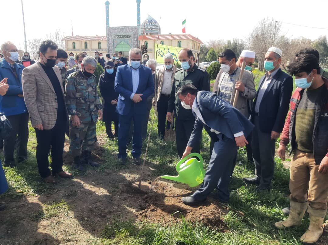 امسال ۲۰۰ هزار اصله نهال رایگان در گنبدکاووس توزیع می‌شود