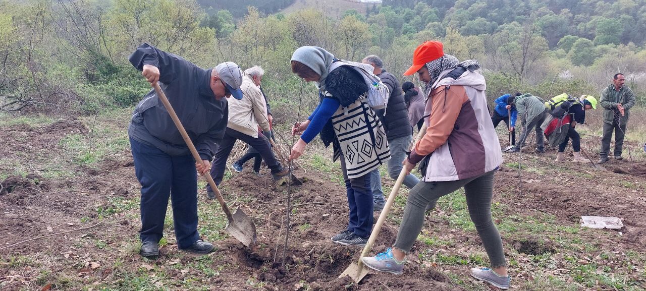 بوستان جنگلی زادمان در گرگان راه‌اندازی شد