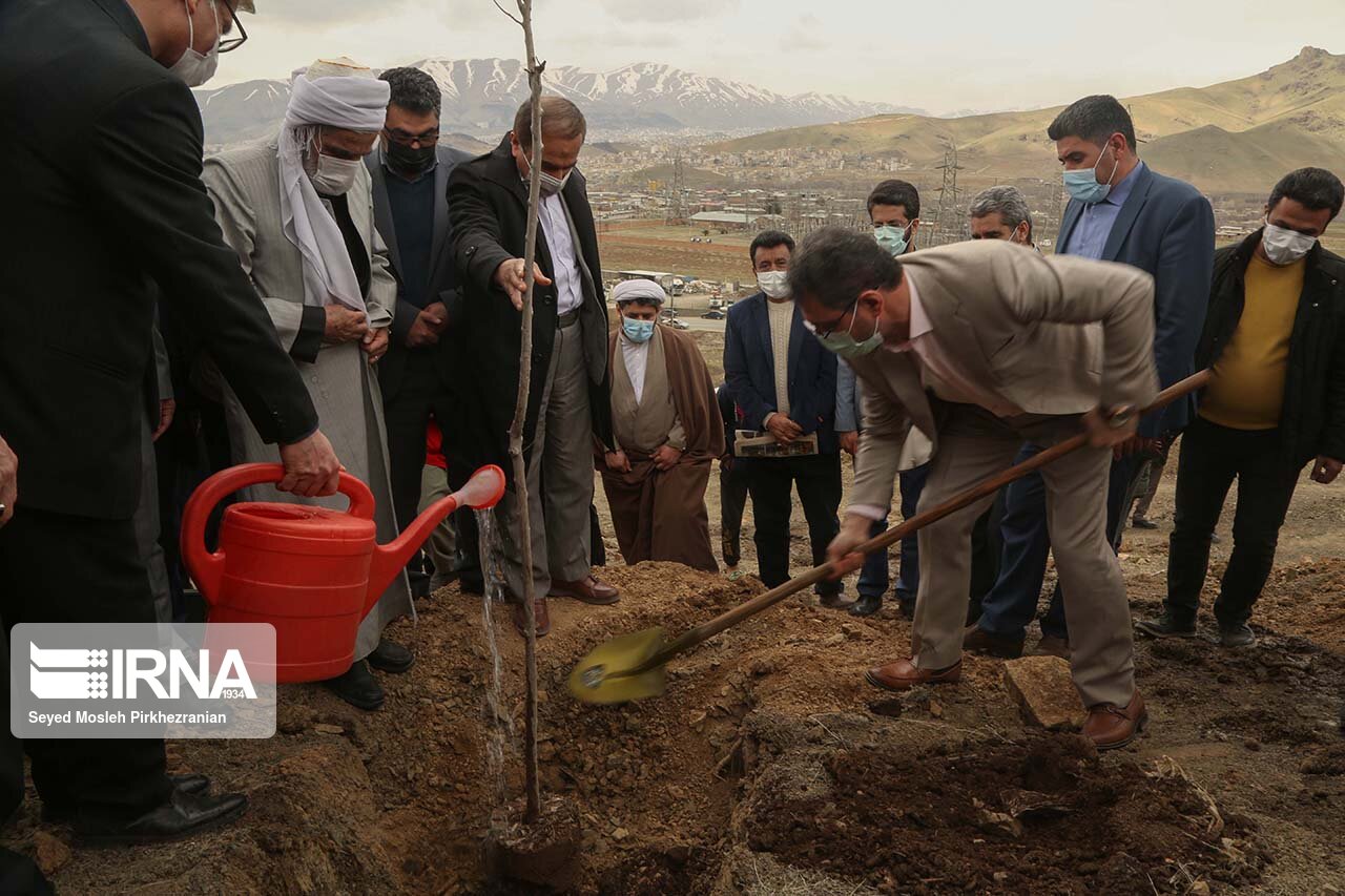 استاندار کردستان:ترویج درختکاری به فرهنگ غالب جامعه تبدیل شود