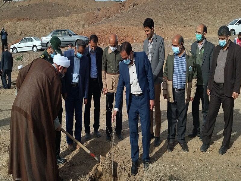 ۱۰ هزار اصله نهال در فردوس توزیع میشود ۱۰ هزار اصله نهال در فردوس توزیع میشود