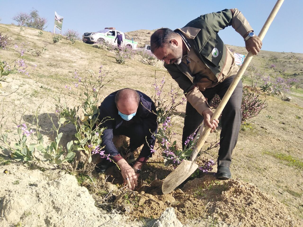 بذرکاری و  کاشت نهال در ۶۰ هکتار از اراضی ملی گچساران انجام شد