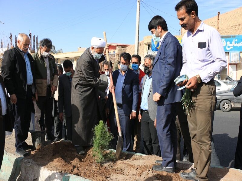 ۹۰ هزار نهال تاغ در رفسنجان کاشته می‌شود