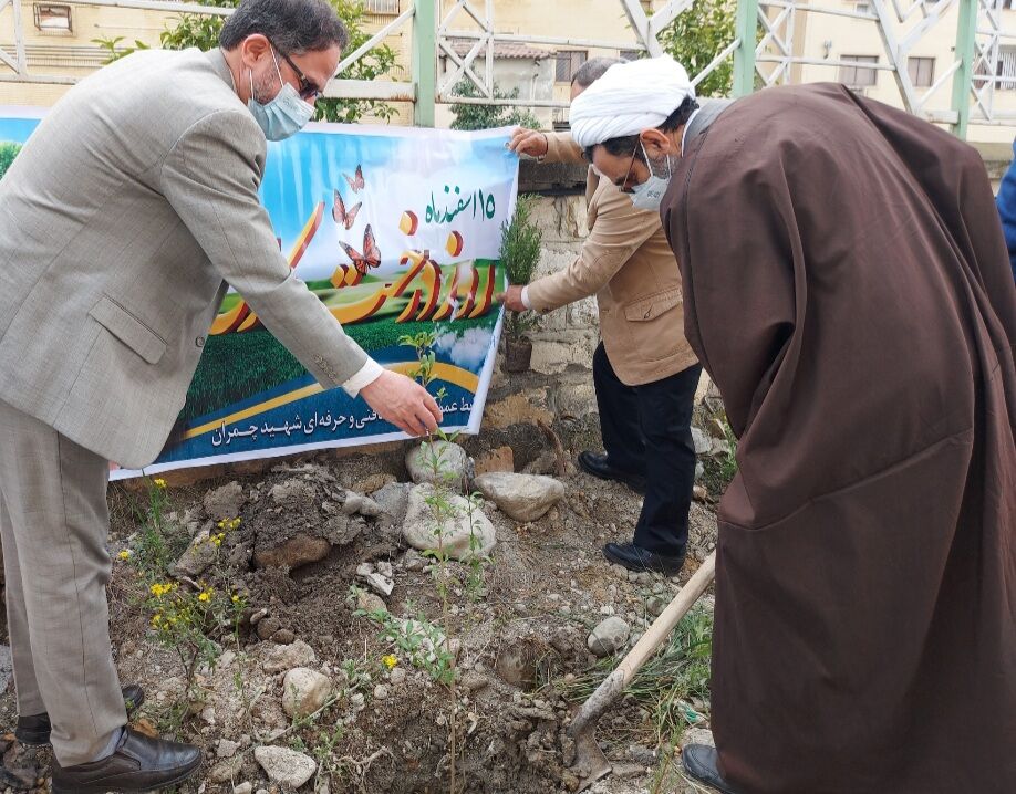 رسانه و دانشگاه در ترویج فرهنگ درختکاری نقش کلیدی دارند
