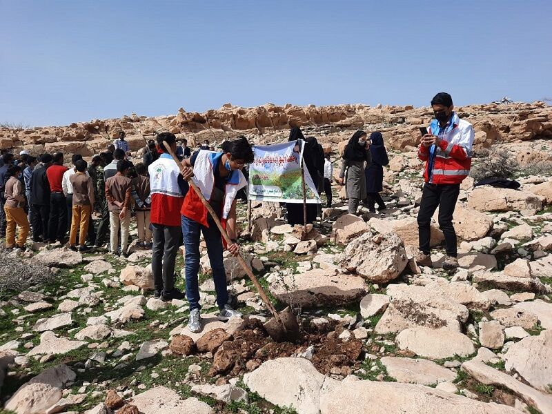 یک هزار بذر بلوط در اندیکا خوزستان کاشته شد