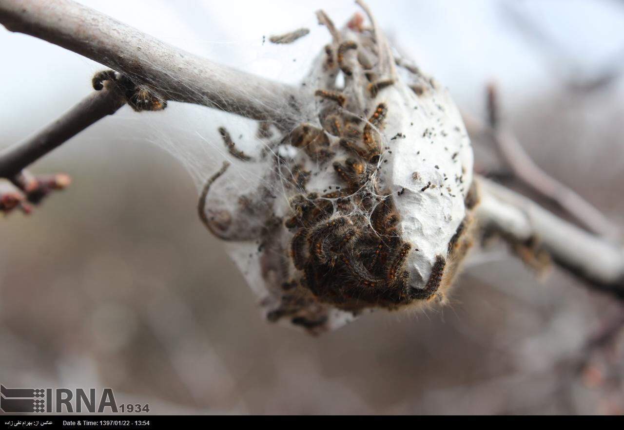 از سرمایهگذاری در حوزه نفت تا ذخیره سازی و توزیع کالاهای اساسی در کشور