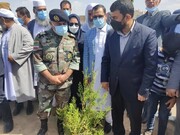 ۴۲۰ هزار اصله نهال به مناسبت روز درختکاری در سیستان و بلوچستان غرس شد