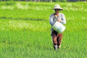 سموم مصرفی کشاورزی مازندران در حال پایش است
