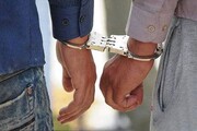 دستگیری ۱۰۰ سارق و کشف ۲۱۲ فقره سرقت در  ملکشاهی 