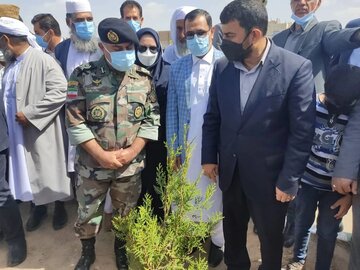 ۴۲۰ هزار اصله نهال به مناسبت روز درختکاری در سیستان و بلوچستان غرس شد