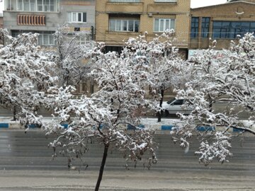 زیبایی های بارش برف در بوکان