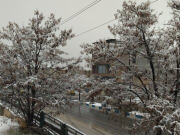 زیبایی های بارش برف در بوکان