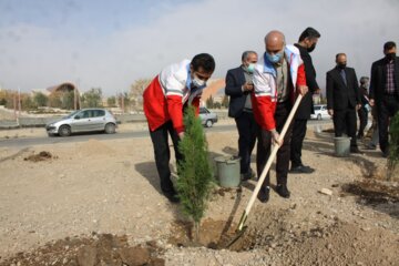 15اسفند روز درختکاری درسمنان