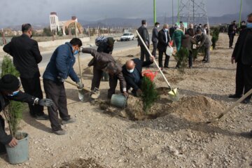 15اسفند روز درختکاری درسمنان