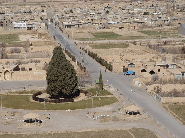 ابرکوییها در انتظار ثبت جهانی سرو ۴۵۰۰ ساله