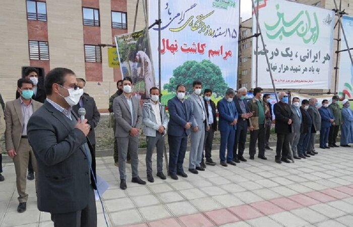 ۱۰ هزار اصله نهال در ملایر کاشته میشود