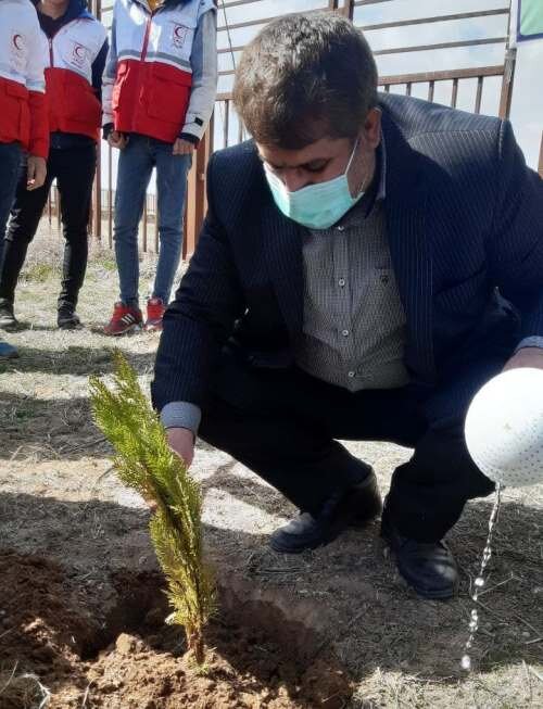 فرماندار فامنین: ترویج فرهنگ درختکاری میراث ما برای آیندگان است