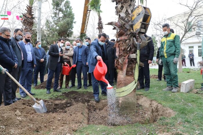 بسته خبری پایتخت، از آماده سازی کارخانجات تولید آسفالت تا نصب تندیس سرو قامتان سلامت