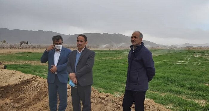 ۴۰۰هکتار از زمینهای زراعی یزد مجهز به سیستم آبیاری نوین است