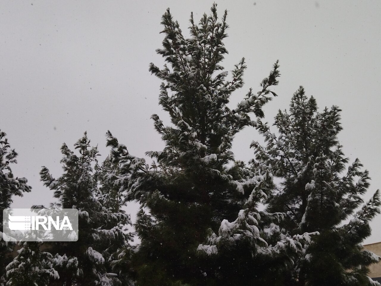 کولاک برف و رگبارباران در انتظار البرز است