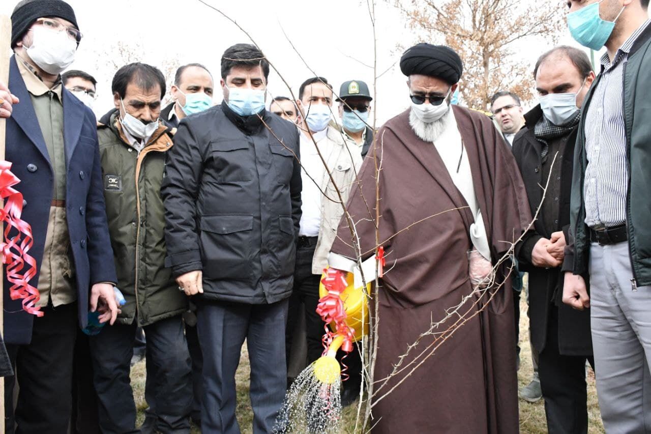 امام جمعه تبریز خواستار برخورد قاطع با عاملان قطع درختان شد