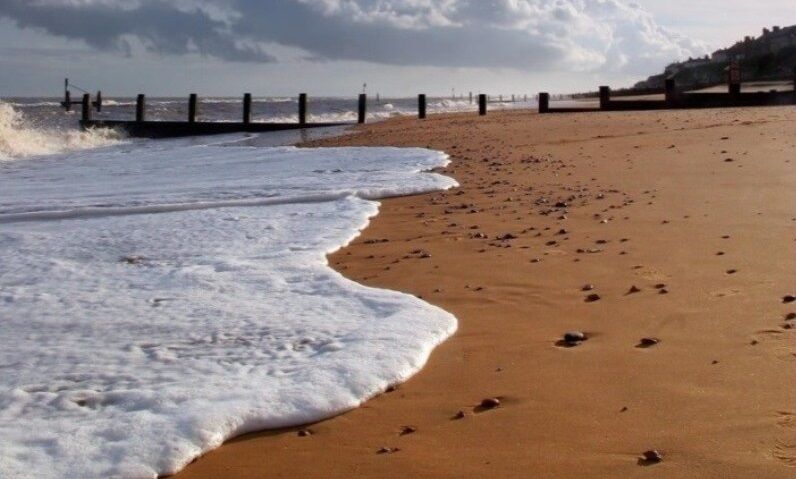 دستور رییس جمهور اجرا شد؛ خرسندی بوشهریها از رخ نمایی خلیج فارس