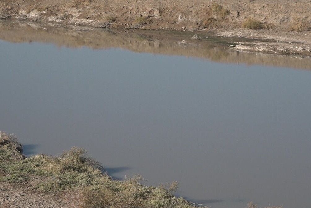 کمآبی و پساب رها شده در دشتهای خراسان جنوبی کمآبی و پساب رها شده در دشتهای خراسان جنوبی