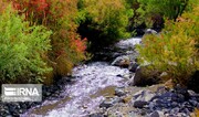 درخواست برای ارتقای یک روستای کرمان به شهر گردشگری