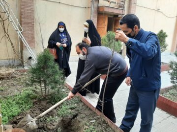 کاشت نهال توسط خبرنگاران استان همدان در هفته منابع طبیعی