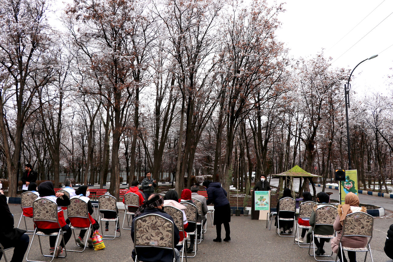 کاشت نهال هلال احمر زنجان