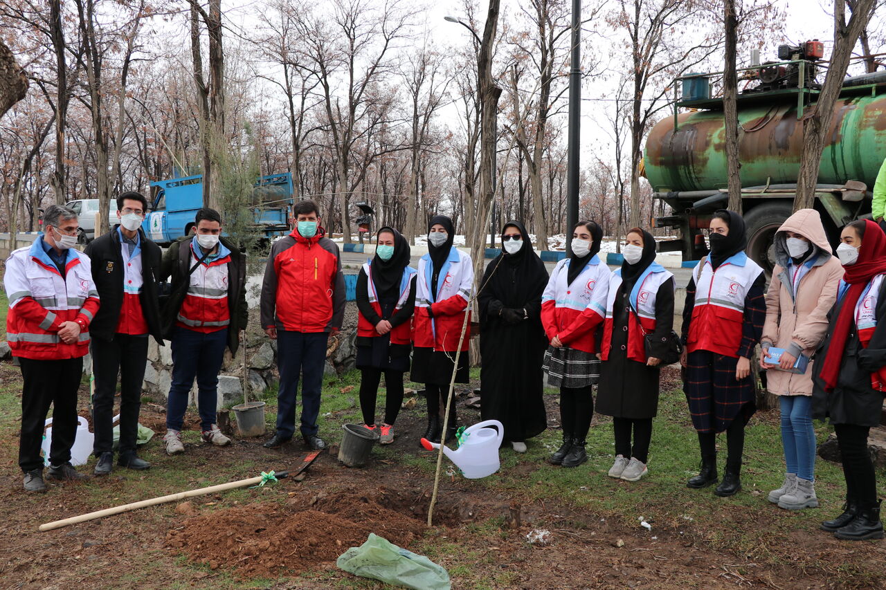 کاشت نهال هلال احمر زنجان