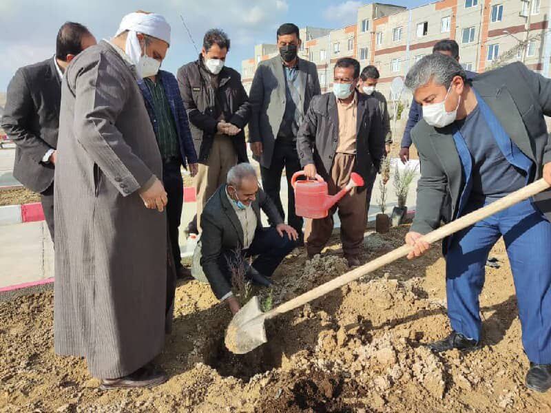 ۹ هزار اصله نهال در دیواندره کاشته میشود ۹ هزار اصله نهال در دیواندره کاشته میشود