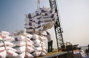 بارگیری روزانه ۴ هزار تن برنج وارداتی از بندر بوشهر