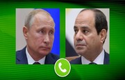 رئیس جمهور مصر درباره بحران اوکراین با پوتین گفت و گو کرد 