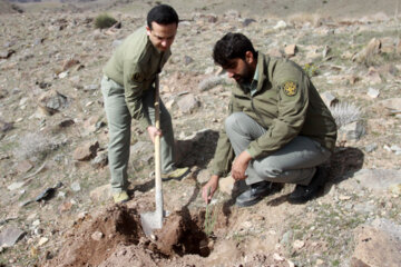 تصاویری از رهاسازی پرندگان شکاری در پلنگ‌دره 27