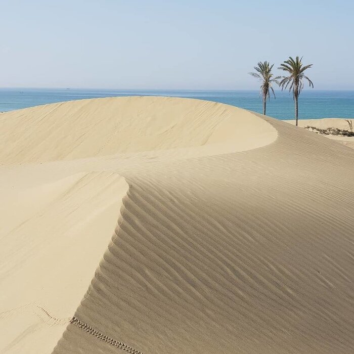 سفر به تالاب صورتی و گورستان جن