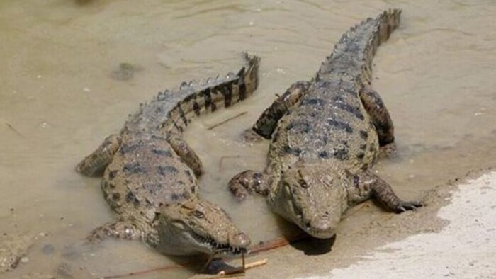 سفر به تالاب صورتی و گورستان جن