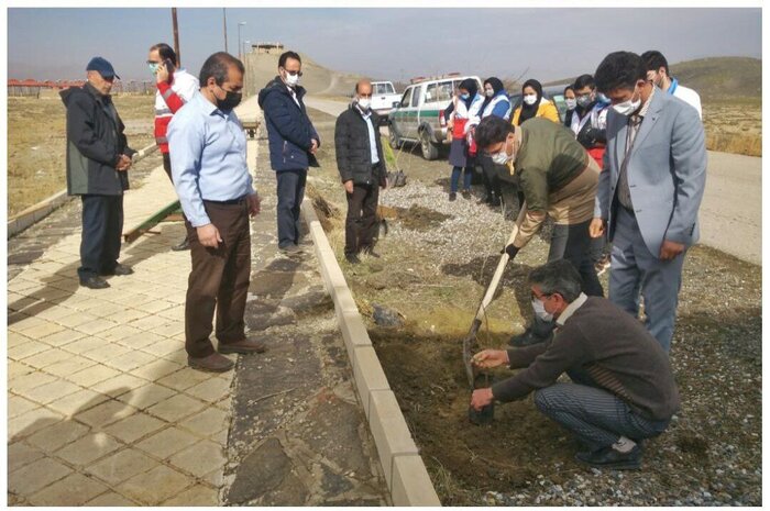 ۵۰ اصله نهال در ارگ باستانی نوشیجان ملایر کاشته شد