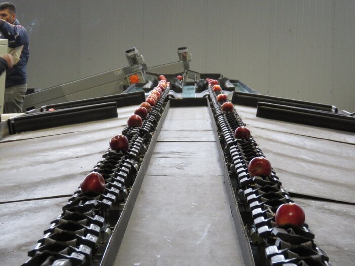 نخستین واحد سورتینگ مکانیزه آذربایجانشرقی در مراغه افتتاح شد