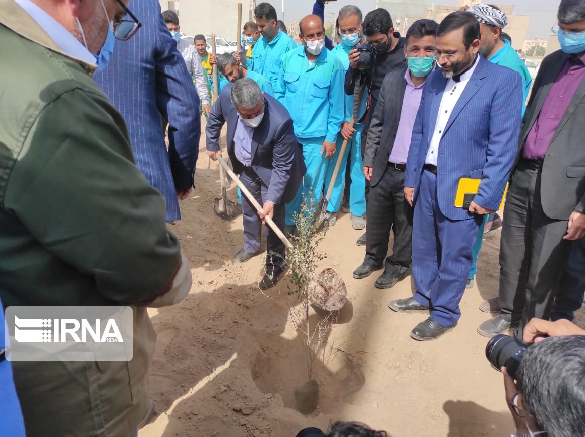هدفگذاری کاشت سالانه یک میلیون درخت در اهواز