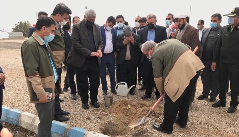 توزیع ۷۰ هزار  اصله نهال رایگان به مناسبت هفته منابع طبیعی در استان بوشهر آغاز شد