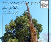 هزارمین اثر میراث طبیعی کشور در کرمان ثبت شد