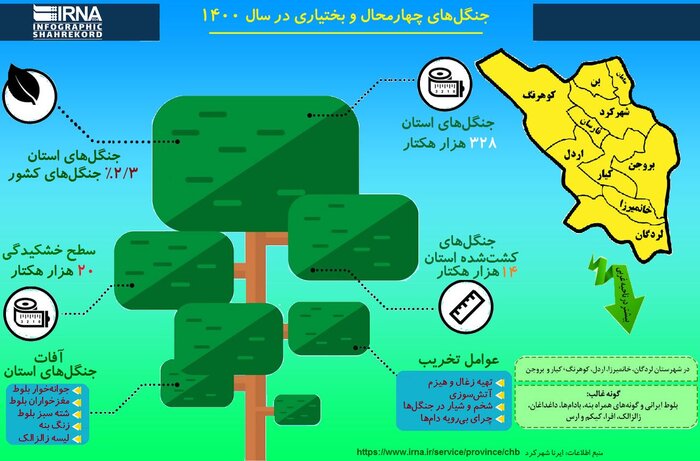 زنگ خطر خشکیدگی جنگل‌های زاگرس در این میزگرد شنیده شد