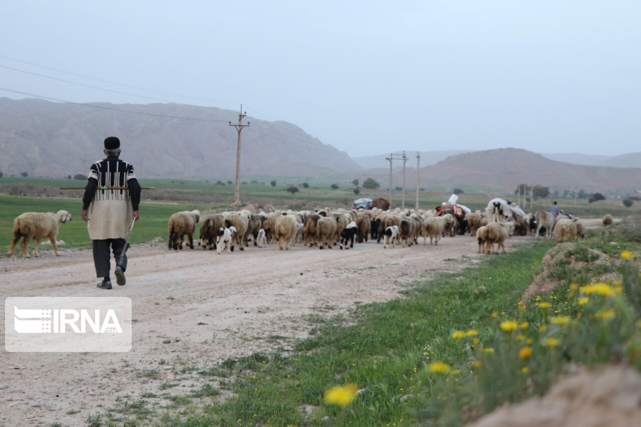 کوچ بهاره عشایر اندیکا آغاز شد