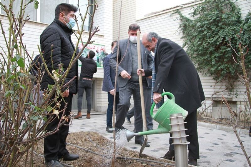 ۲۷ هزار درخواست کاشت نهال رایگان در منازل شهروندان تبریزی ثبت شد