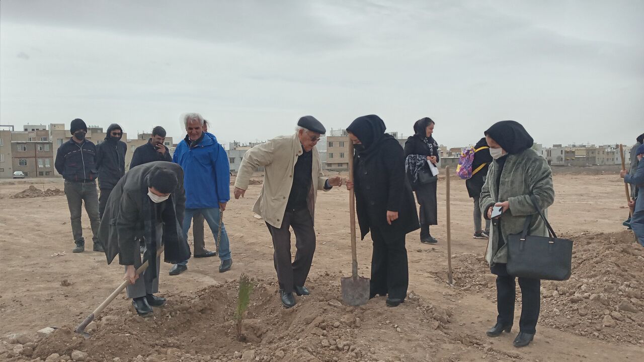 استاندار البرز: سه میلیون اصله نهال در استان غرس شد 