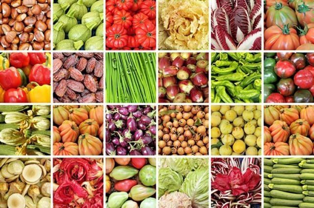 گلستان ظرفیت ویژه ای در تامین امنیت غذایی دارد